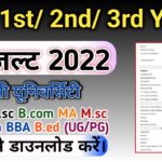 BA Result 2022: Part 1, 2, 3 Results (University Wise) All University Result