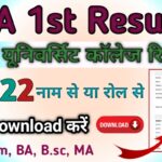 BA 1st Year Result 2022 घोषित Check BA Part 1 Result 2022 (BA Result)- indiaresultinfo.com