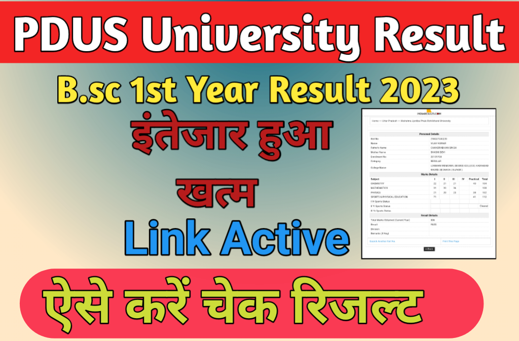 PDUS University B.sc Previous Year Result 2023 घोषित, यहाँ देखे PDUSU B ...