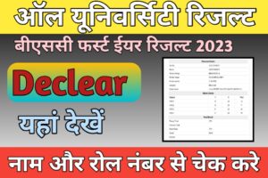 B.sc 1st Year Result 2023 