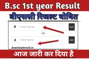 B.sc 1st year Result