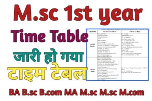 Msc 1st year Time Table