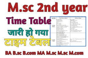 Msc 2nd year Time Table