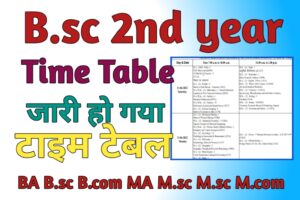 Bsc 2nd year Time Table