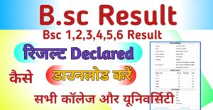 Bsc Result 2024