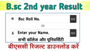 B.sc 2nd year Result 2024