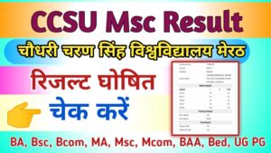 CCSU Msc Result 2024