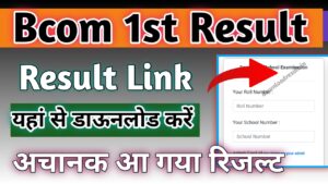 B.Com. 1st Year Exam Result 2024 ( bcom प्रथम वर्ष Result 2024 यहां देखे। ) बीकॉम प्रथम वर्ष रिजल्ट यहां डाउनलोड करें।