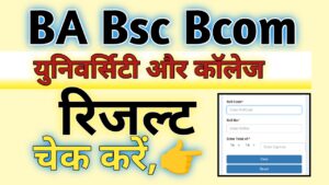 BA Bsc Bcom Exam Result 2024 Downlod Link