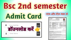 Bsc 2nd semester Admit Card 2024