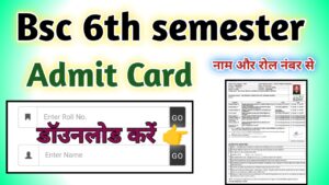 Bsc 6th semester Admit Card 2024