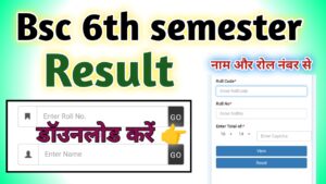 Bsc 6th semester Result 2024