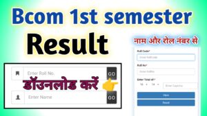 Bcom 1st semester Result 2024