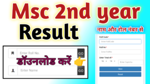 Msc 2nd year Result 2024