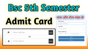 Bsc 5th Semester Admit Card 2024