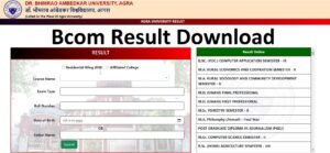 DBRAU B.COM Result 2024 Agra University B.COM Result 2024 आगरा यूनिवर्सिटी रिजल्ट जारी, यहाँ से चेक करे