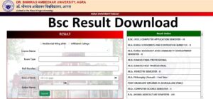 DBRAU BSC Result 2024 Agra University BSC Result 2024 आगरा यूनिवर्सिटी रिजल्ट जारी, यहाँ से चेक करे