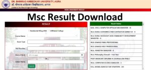 DBRAU MSC Result 2024 Agra University MSC Result 2024 आगरा यूनिवर्सिटी रिजल्ट जारी, यहाँ से चेक करे